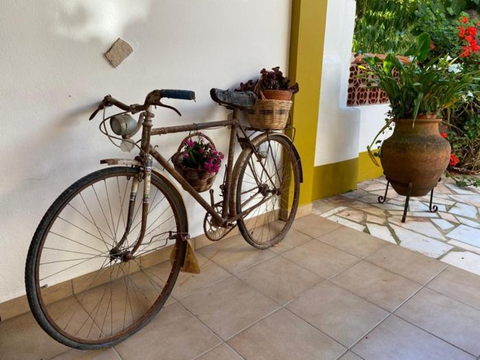 Appartement Casinha Da Avo Rosario à Juncal  Extérieur photo